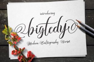 Bigtedy: A Handwritten Script for Editorial Elegance
