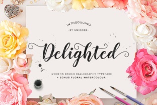 Delighted: A Modern Handwritten Script Font for Web Design