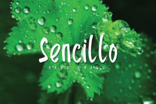 Enhancing Your Brand with Sencillo: A Hand-Drawn Font