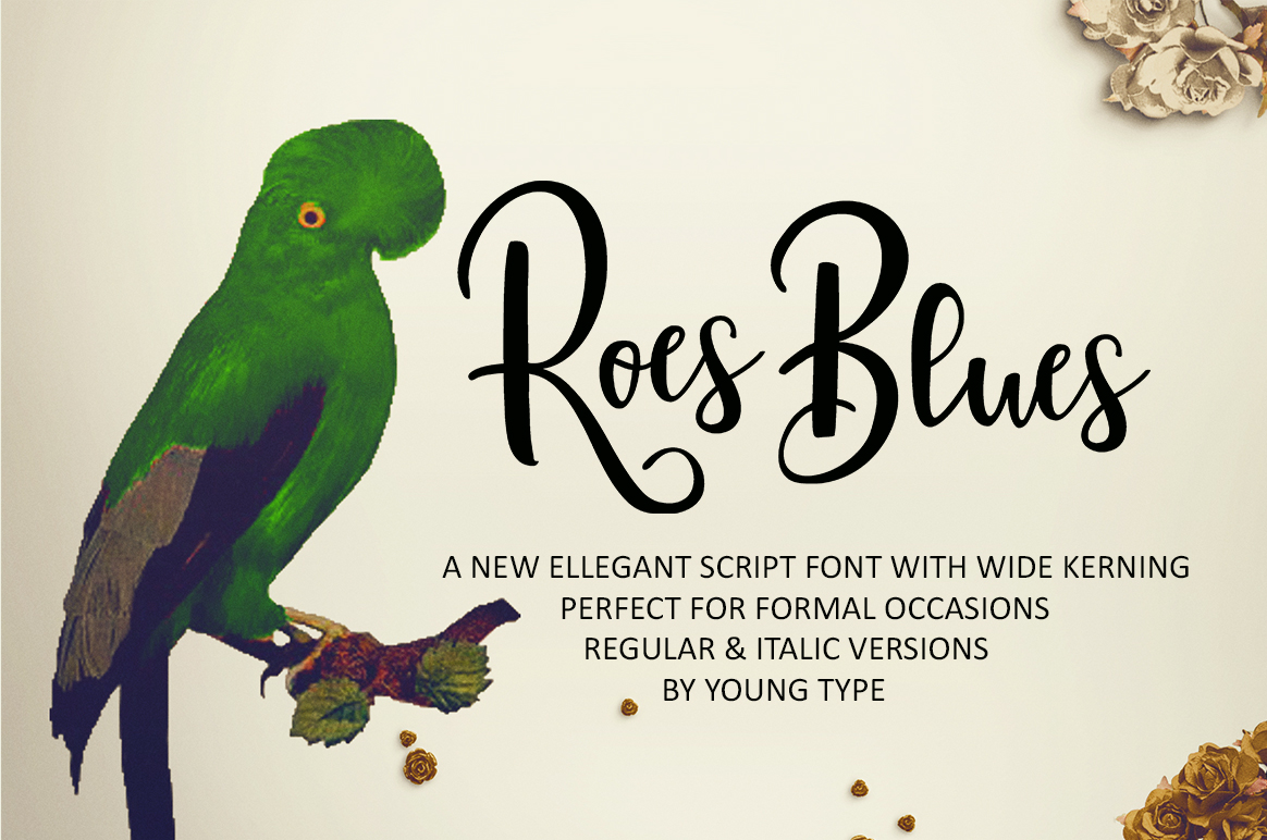 Roes Blues: A Modern Script Font for Engaging Campaigns