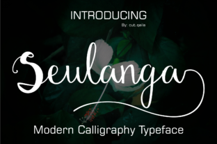 Seulanga Font: Elegant Script for Handmade Products