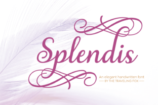 Splendis Font: Elevate Digital Campaigns with Elegant Script